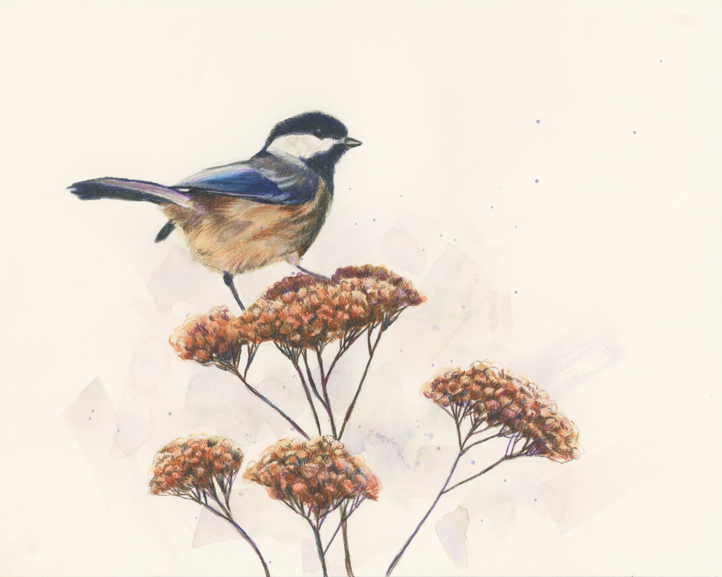 "Perched" Archival Print