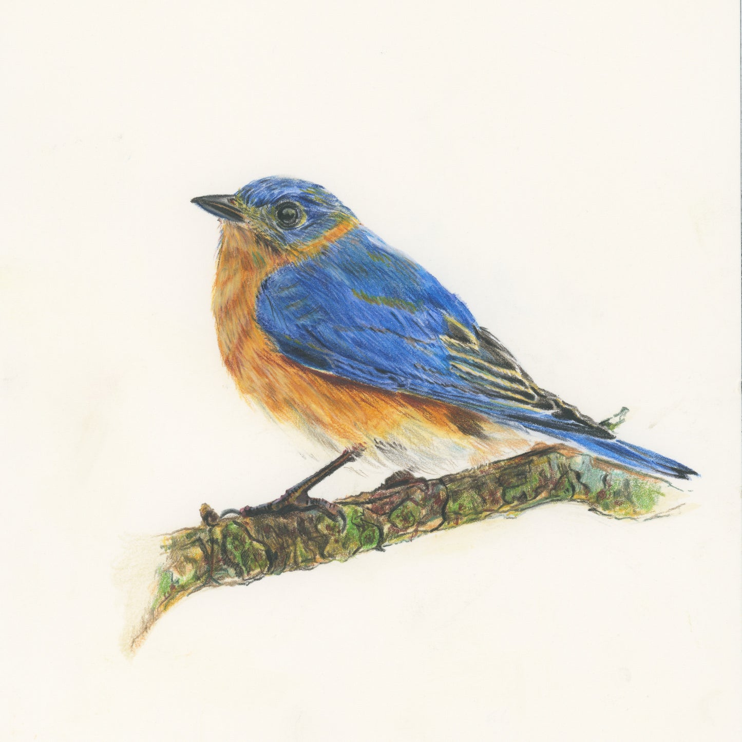"Settled" Original Mixed Media Painting